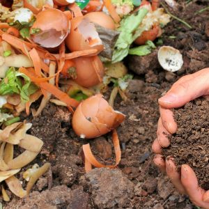 compost, ecology, waste-6053136.jpg